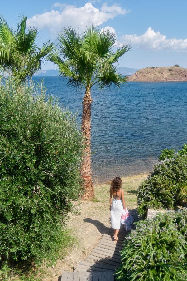 Little Bird Lesvos Aparthotel Petra  Exterior photo
